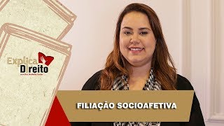 Explica Direito Filiação Socioafetiva  2019 [upl. by Llechtim]