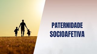 Paternidade socioafetiva [upl. by Ecyal199]