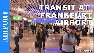 TRANSIT WALK AT FRANKFURT Airport FRA Terminal 1  Connection Flight Transfer Arriving amp Departing [upl. by Maddox]